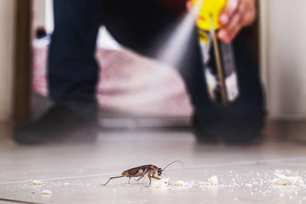 Professional Pest Control in Wolf Creek, UT